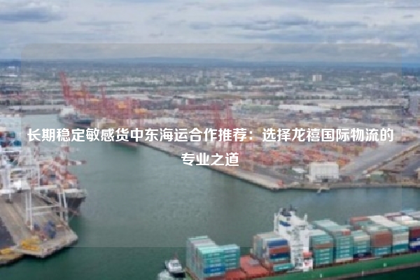 长期稳定敏感货中东海运合作推荐：选择龙禧国际物流的专业之道
